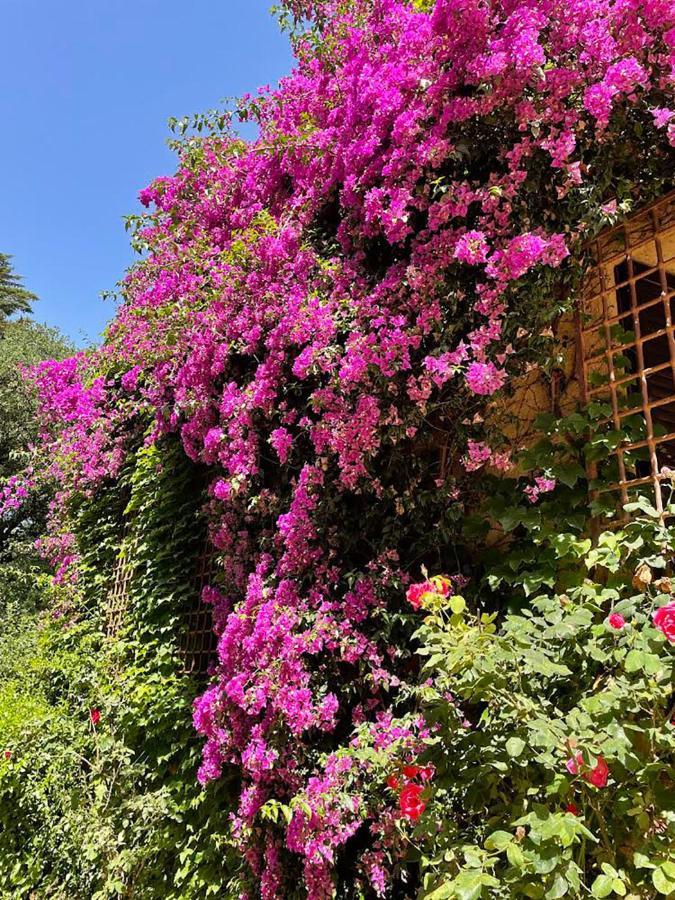 Can Codol De Fluvia - Casita Torroella de Fluvia Exterior photo